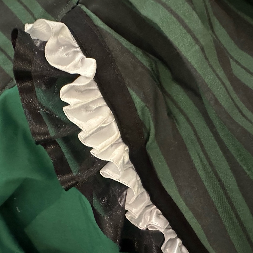Haunted Mansion Apron Costume - Picture 5 of 8